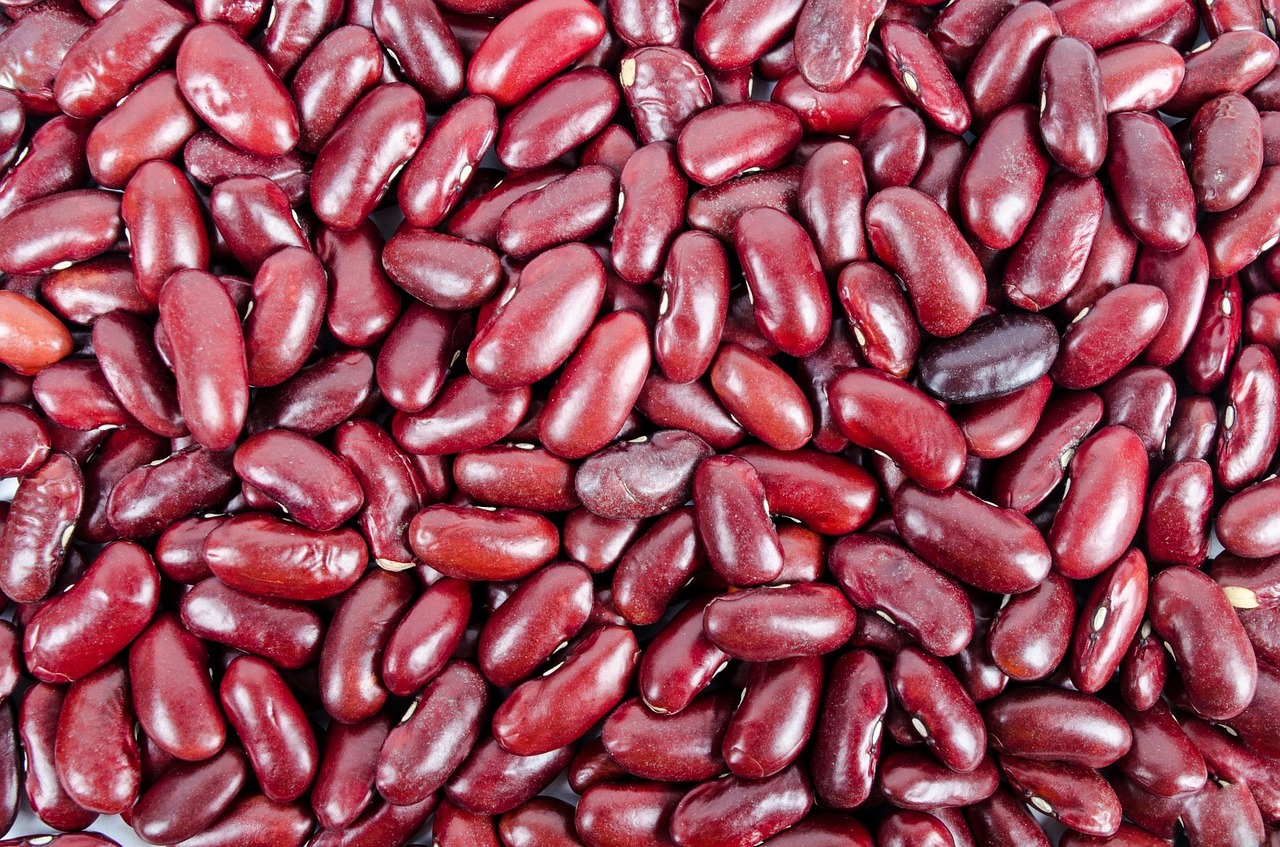 Kacang Merah