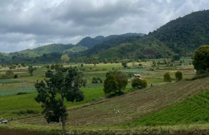Aktivitas petani Kakenturan